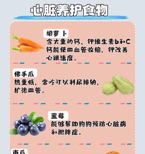 幼年比熊犬适合吃热食还是冷食？