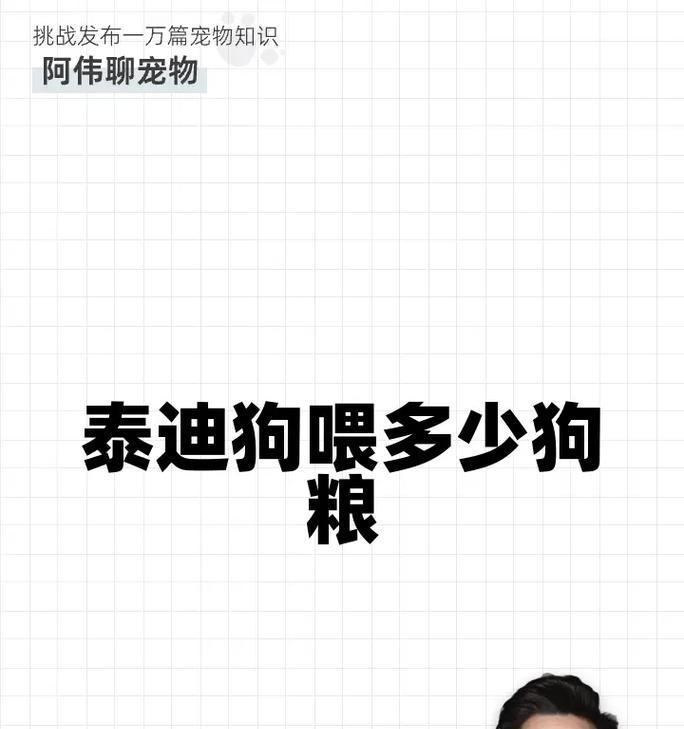 1岁贵宾犬是否还能训练？为何拒绝狗粮？