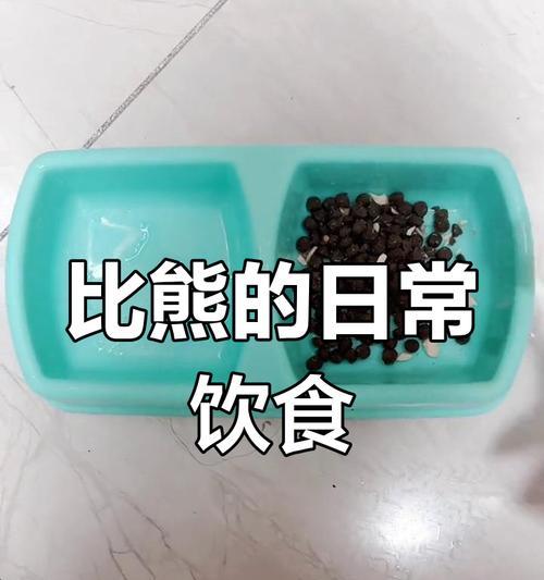 四个月比熊每餐狗粮量是多少？是否符合标准？