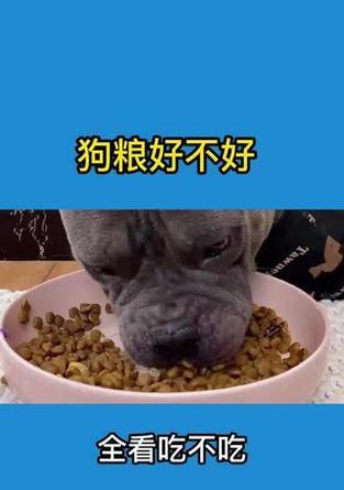 比熊犬狗粮和鸡肝一起吃有毒吗？为什么不能一起吃？