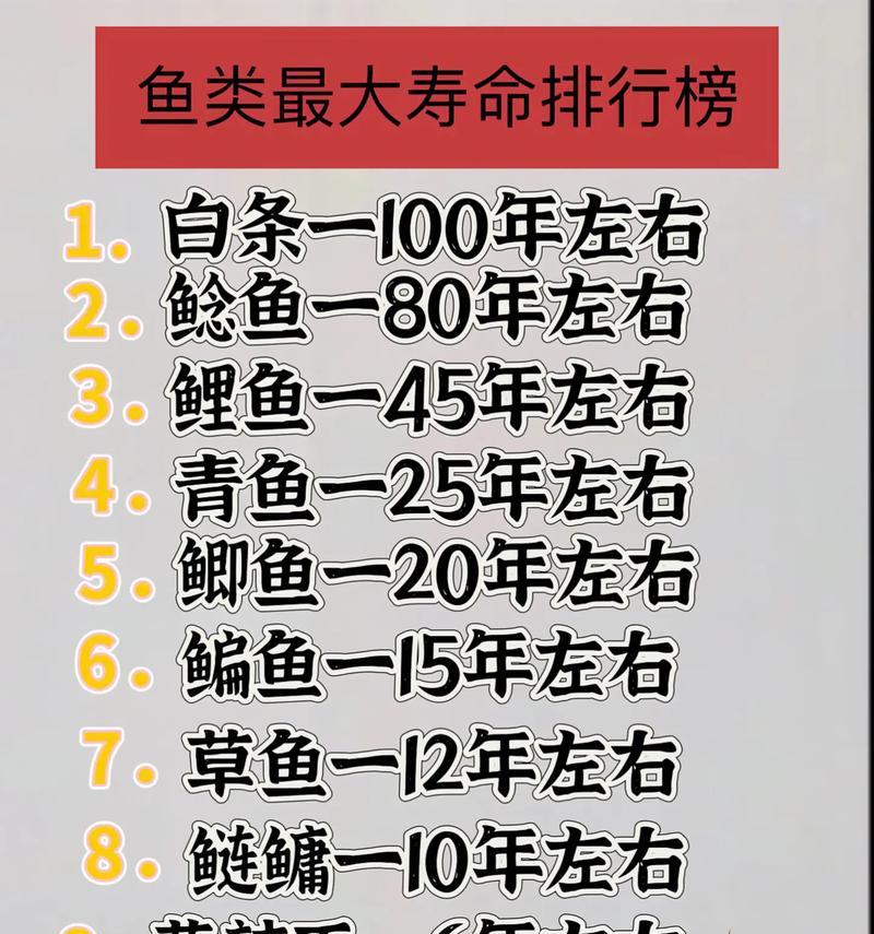 鱼需要多久才能长大？长大后如何正确喂食和供水？