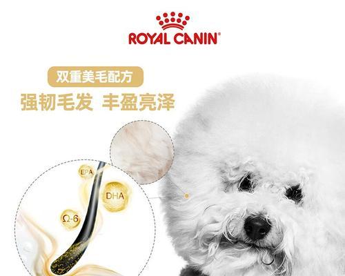 比熊犬长期只吃狗粮是否健康？