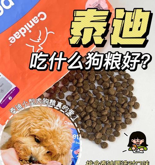 泰迪突然拒食狗粮是生病了吗？如何识别泰迪的健康问题？