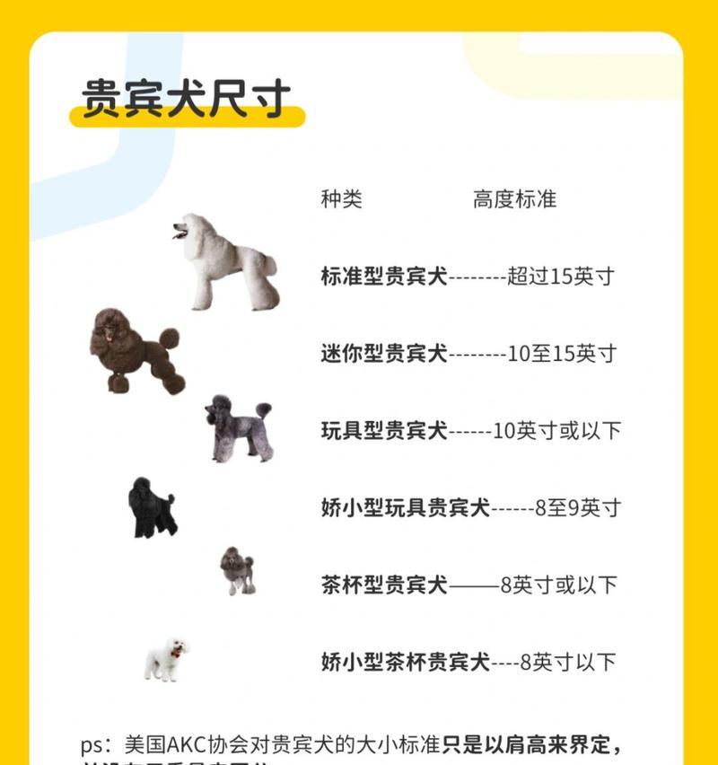 不同种类贵宾犬有哪些？如何区分贵宾犬的品种？