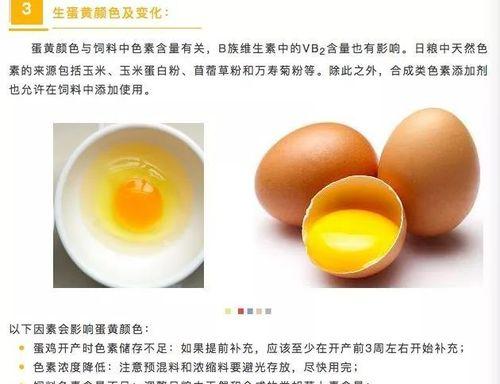 50天比熊喂食鸡蛋黄的最佳方法是什么？