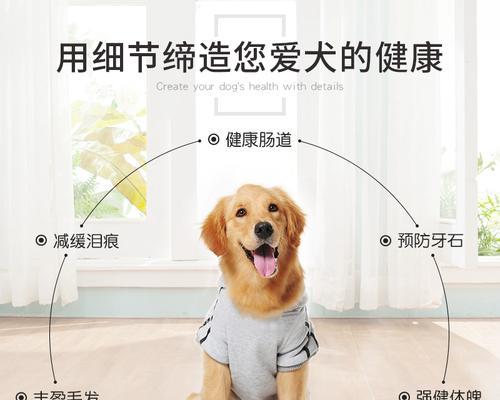 三斤幼犬每天需要多少狗粮？幼犬吃狗粮的正确量是多少？