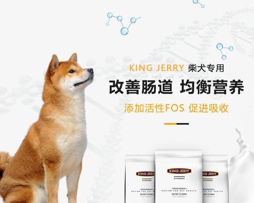 10公斤柴犬每次喂食多少狗粮合适？喂食指南是什么？