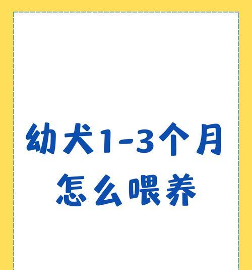 四个月狗狗喂食量：每次应该喂多少狗粮？