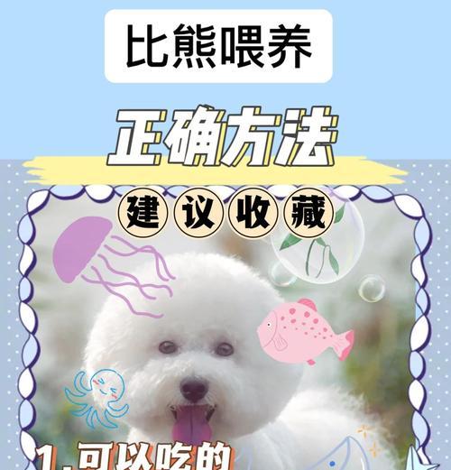 幼犬比熊可以吃猪肝吗，正确的喂食方法是什么？