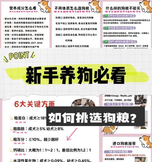 如何训练狗狗定点吃狗粮？有哪些有效的方法？