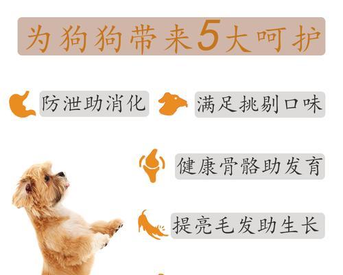 大型犬每月狗粮摄入量标准是多少？如何根据活动量调整？