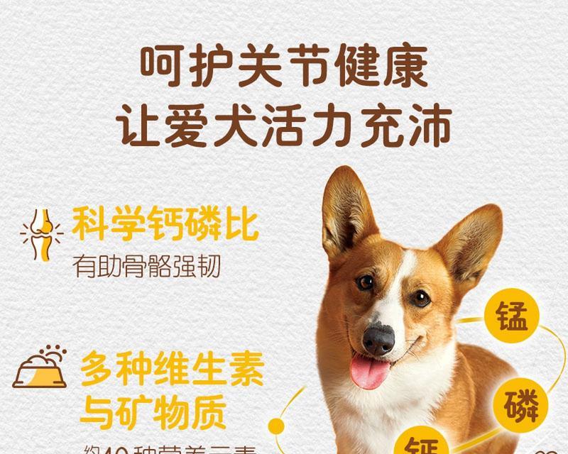 两斤重幼犬每次应喂多少狗粮？如何计算合适量？