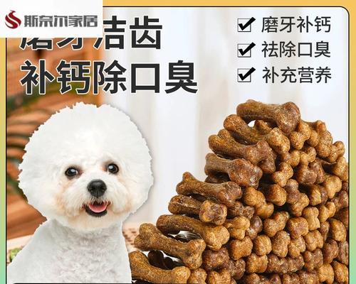 两个多月比熊犬适合哪些零食？