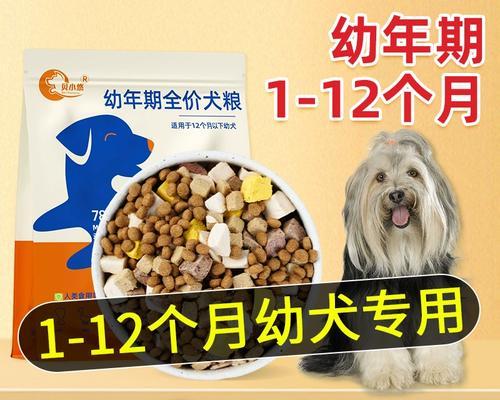 四个月大的古牧犬喂食多少狗粮算正常？