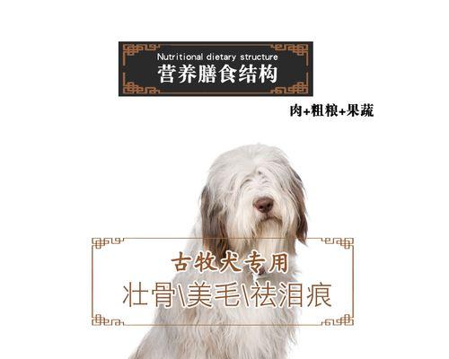 四个月大的古牧犬喂食多少狗粮算正常？