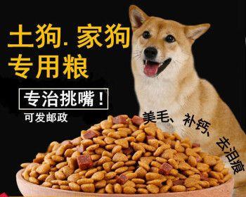 2个半月柴犬狗粮推荐？如何选择合适品牌？