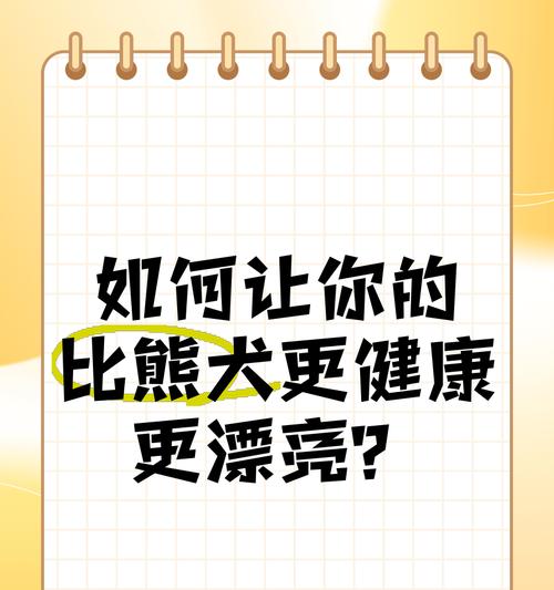 3个月比熊一天吃多少零食最合适？如何合理安排比熊犬的零食摄入？