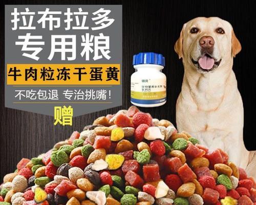 一袋狗粮中型犬能吃多久？如何计算合适的喂食周期？