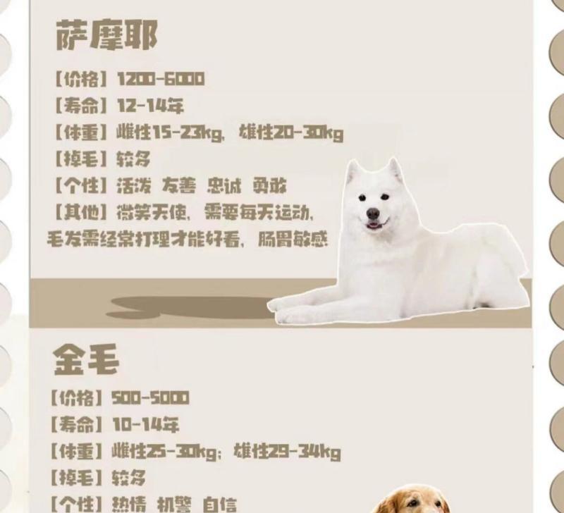 哪些大型犬品种容易性格偏执？如何预防？