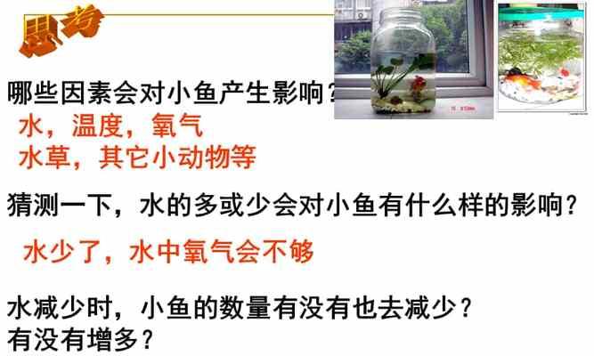 小鱼苗打氧全死了什么原因？如何预防和解决？