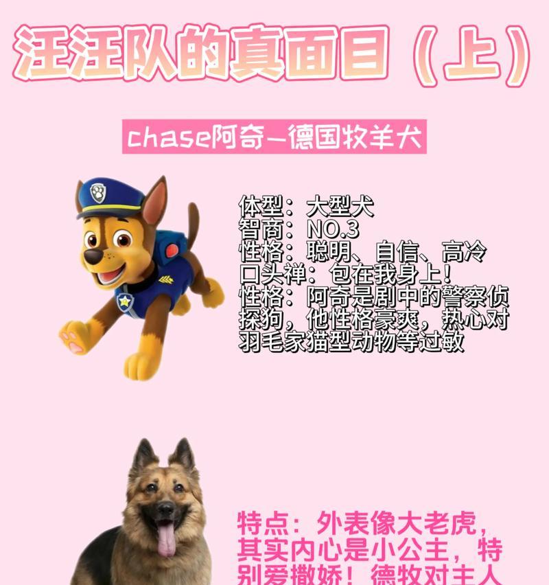 长大好看的大型犬品种有哪些？这些犬种的养护需要注意什么？