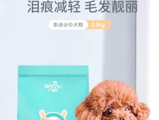 泰迪幼犬每天应该喂食几次？每次喂多少合适？