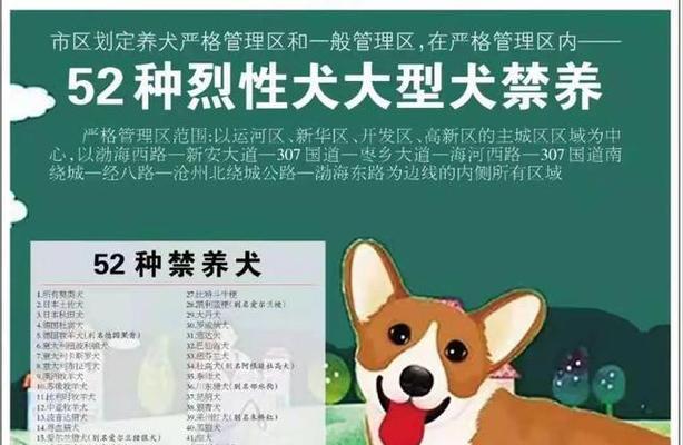 哪些大型犬品种在市里被禁养？