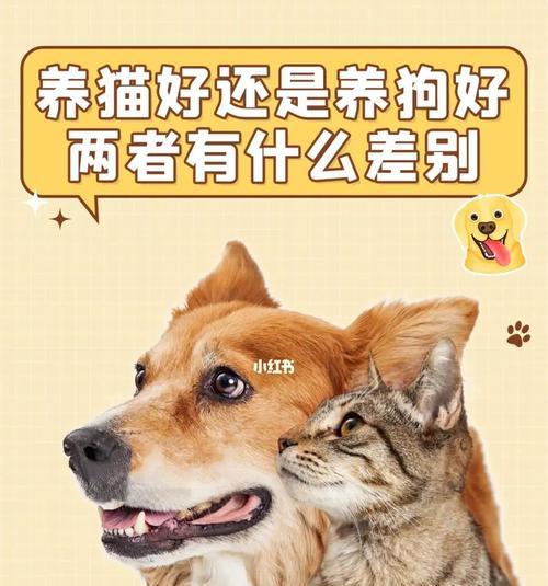 猫误食狗幼粮应该怎么办？猫和狗的粮食有何不同？