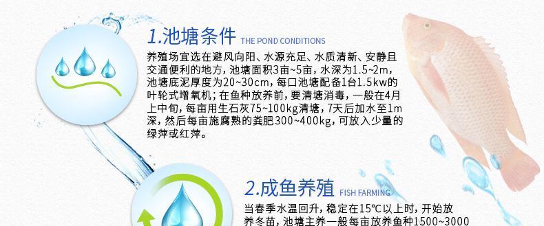 上鱼苗的最佳水温是多少？温度对鱼苗存活率有何影响？