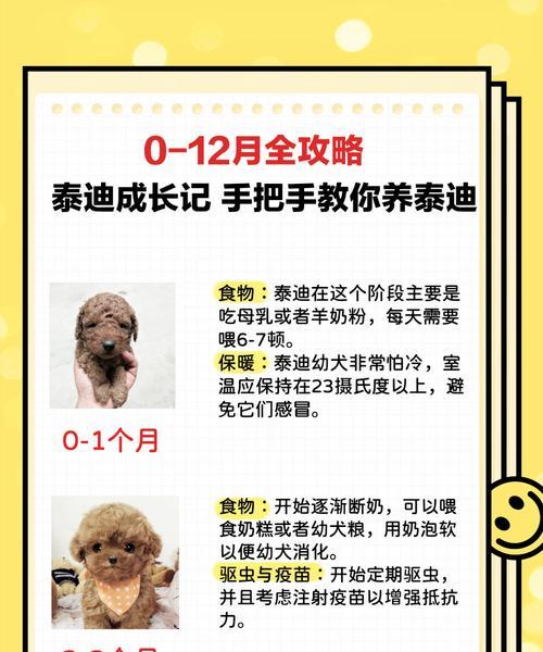 柳市地区家养泰迪犬的售价是多少？