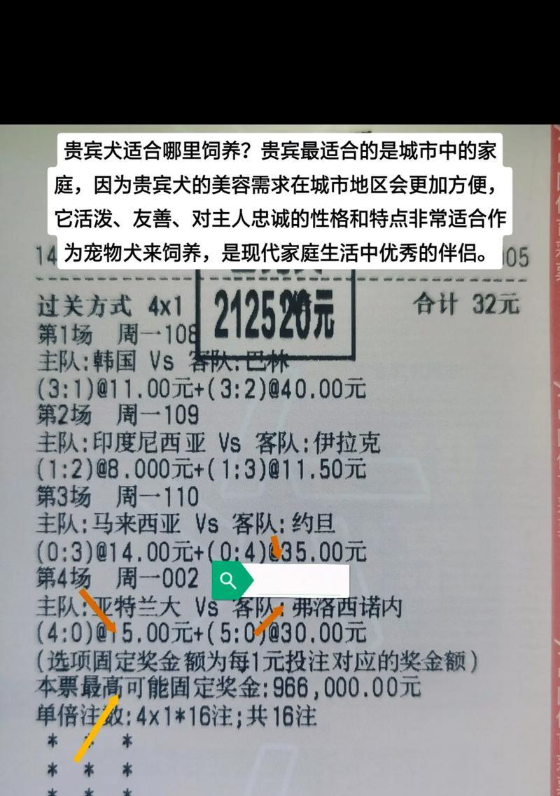 泰迪犬二十四块钱是否正常？价格标准是什么？