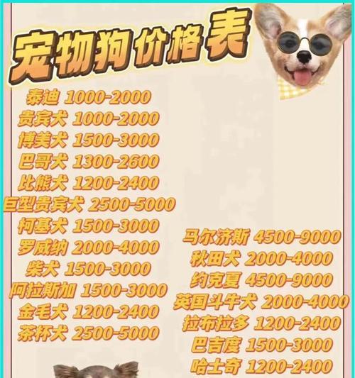 哪些大型犬价格亲民？购买时应该注意哪些事项？