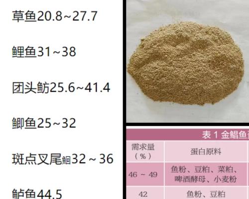 鱼苗喂食肉鱼应该使用哪种饲料？如何确保营养均衡？