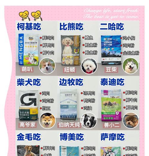 哪些大型犬幼崽品种值得推荐？选择时应注意什么？