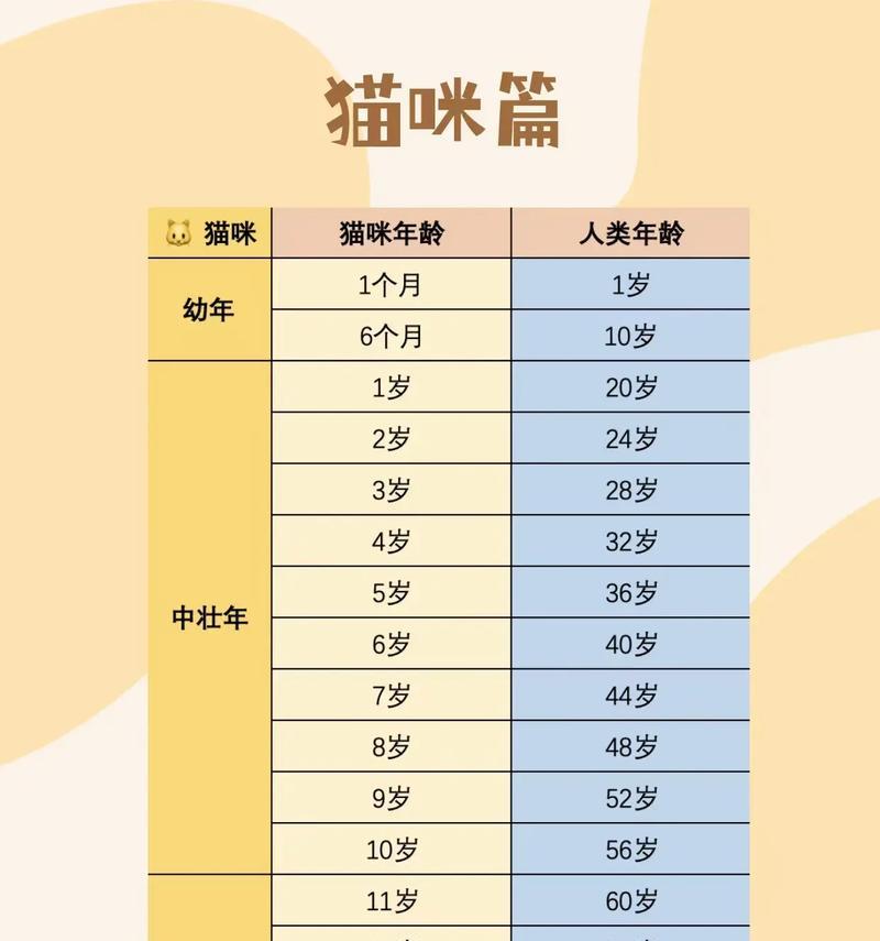 泰迪狗17岁相当于人多少岁？宠物年龄换算方法是什么？