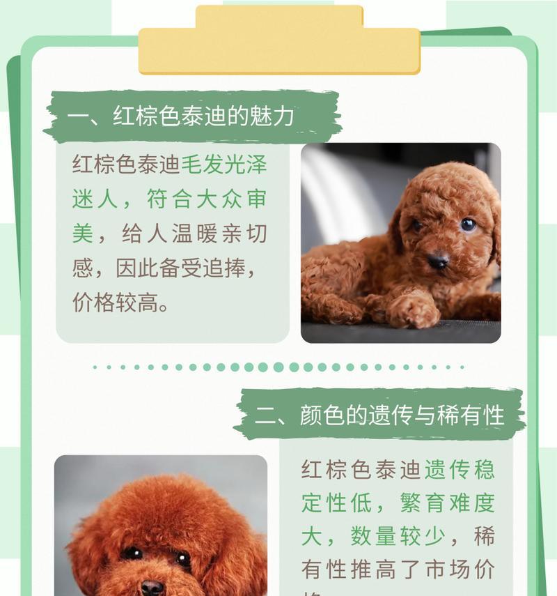 泰迪犬能承受的最低温度是多少？泰迪的耐寒能力如何？