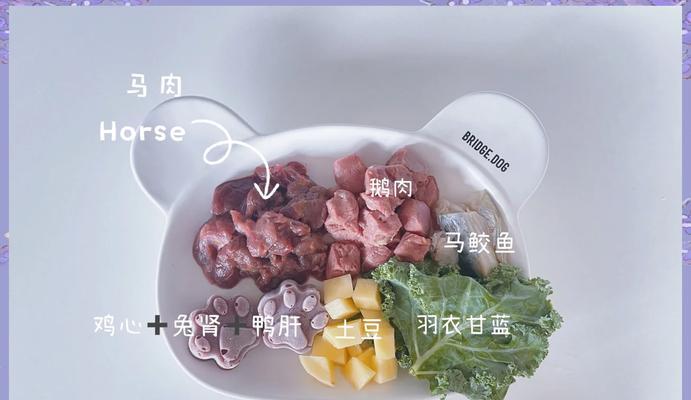 自制狗纤维粮的食谱有哪些？如何确保营养均衡？