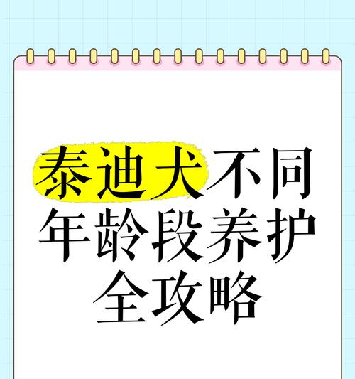 泰迪犬的年龄如何计算？不同年龄阶段的特征是什么？