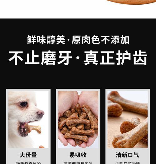 泰迪犬进行一次骨骼手术需要多少费用？