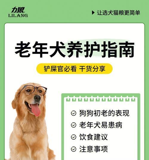 小型犬肺部不好有哪些表现？如何进行护理？