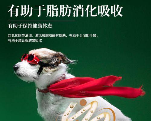 奶糕粮泰迪幼犬一天吃多少克？如何科学喂养？