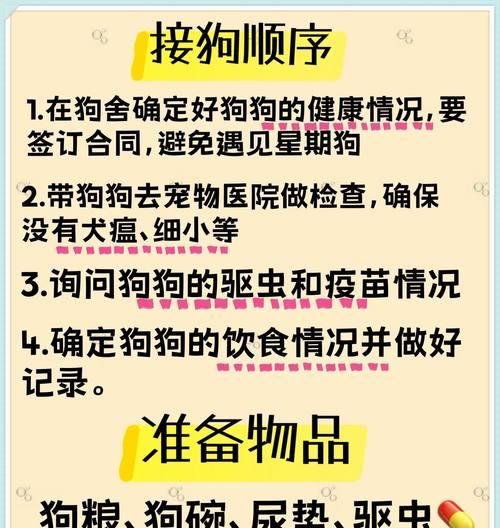 泰迪需要接种多少针疫苗？疫苗接种的时间表是什么？