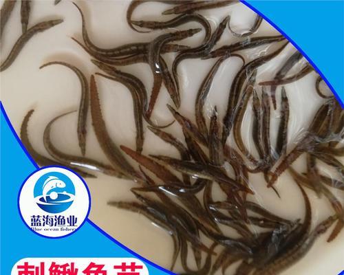 为什么放鱼苗时要用盐水泡？盐水泡的作用是什么？