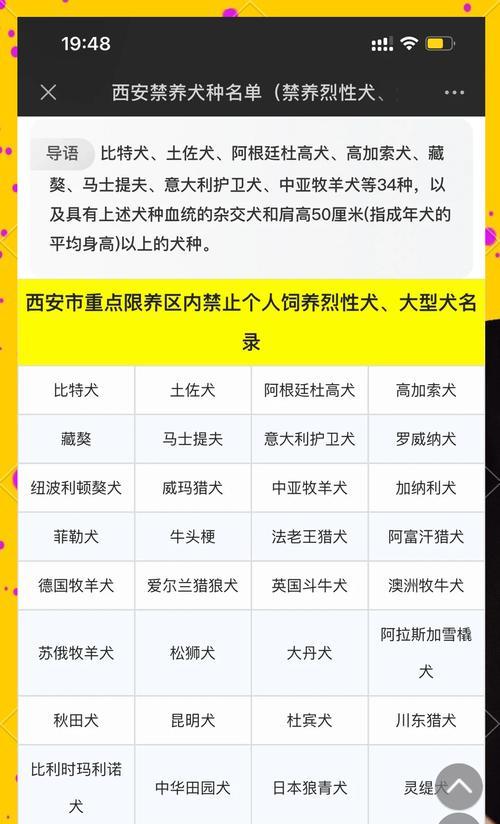 市区内允许养哪些大型犬种？养大型犬需要注意什么？