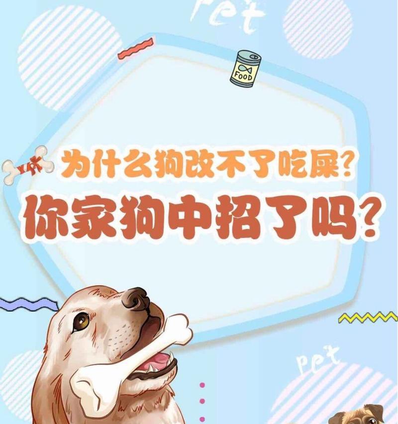 幼狗不吃软粮会导致拉稀吗？原因是什么？