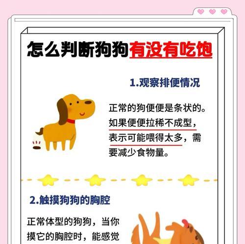 狗狗能吃杂食猫粮吗？有什么潜在风险？