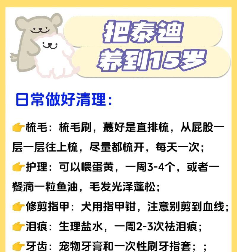 泰迪幼犬每日喂食量是多少？如何科学喂养？