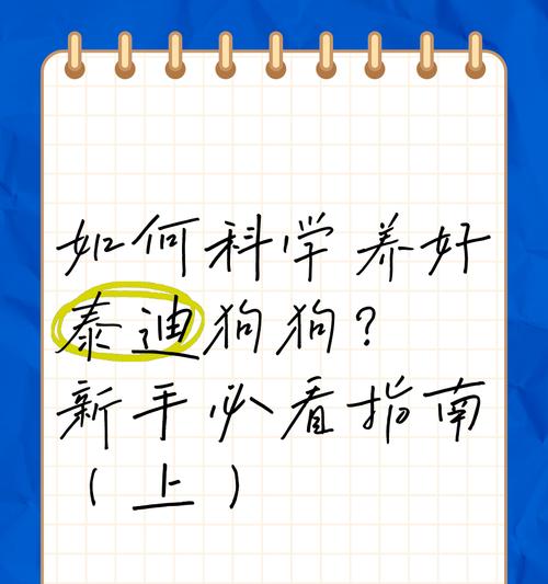 泰迪幼犬每日喂食量是多少？如何科学喂养？