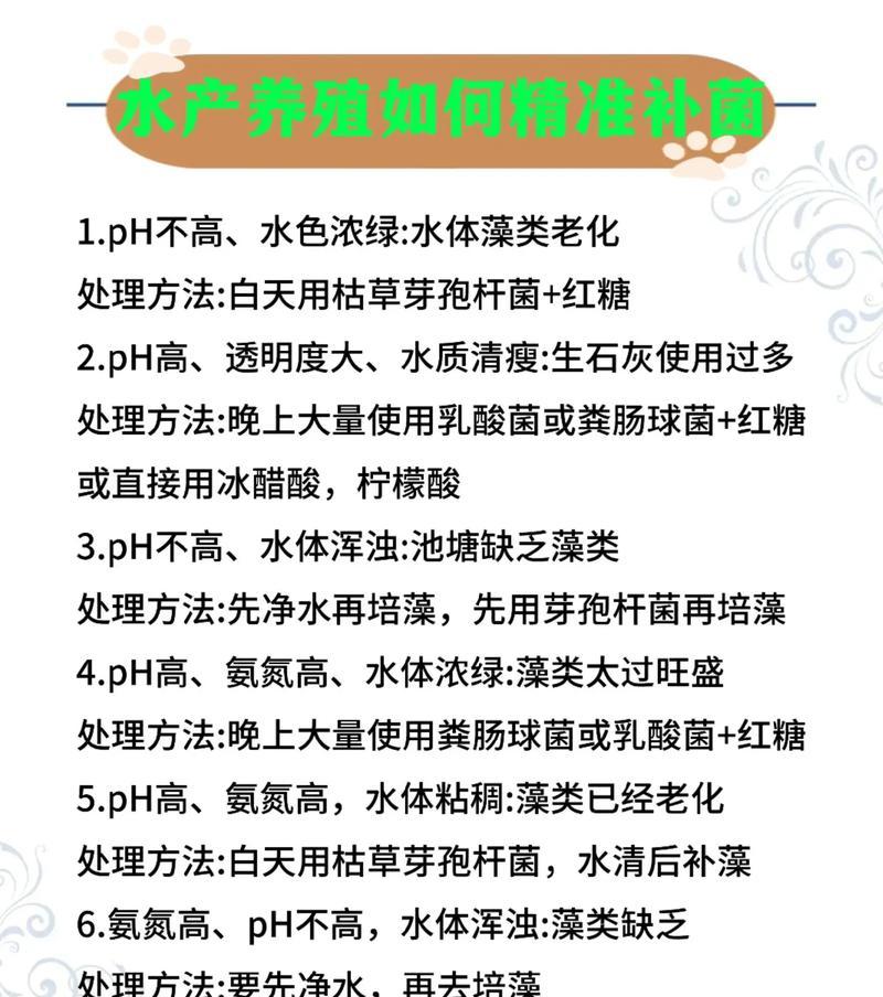 哪些鱼苗不需要打氧且富含高蛋白？养殖时应注意什么？