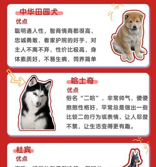 哪些超大型犬品种最听话？如何训练它们？